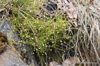 rrente Quarantore-05-08-2015 17-25-37